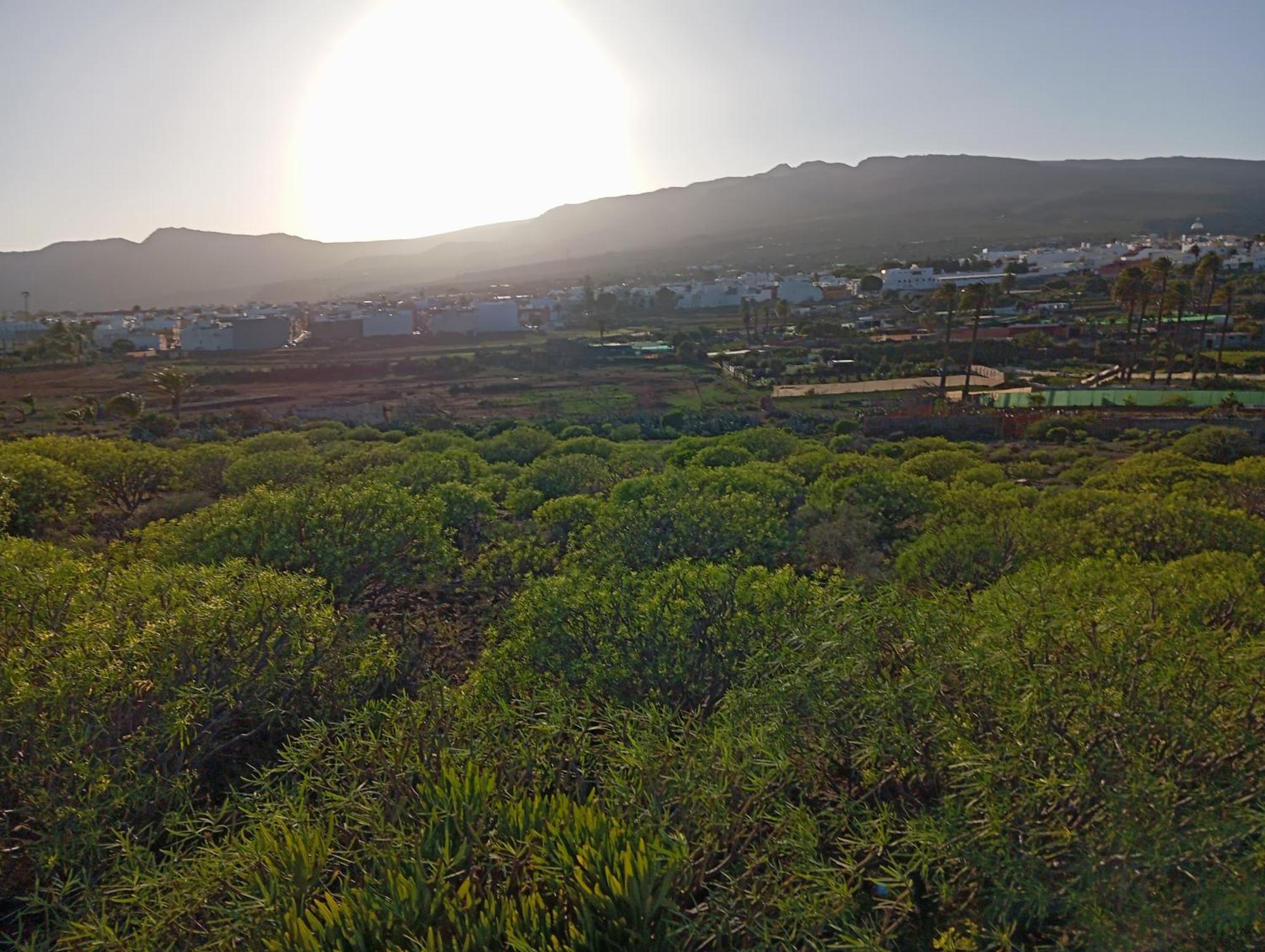 Casa Grande Finca El Calabres Agüimes Eksteriør billede